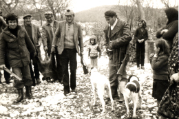 Lovci ubili divlju svinju. Na slici: Zdravko Madunić, Bože Perišić, Nedo  Kraljević i Jerko Franić 