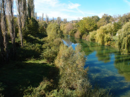 Cetina