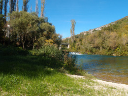 Cetina