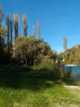 Cetina