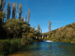 Cetina