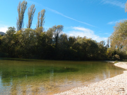 Cetina