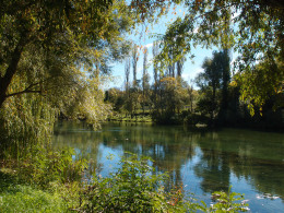 Cetina