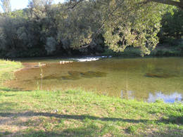 Cetina