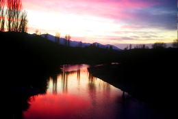 Cetina