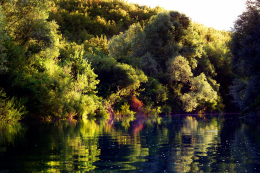Cetina