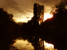 Cetina