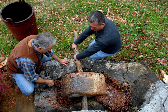 Mljevenje maslina. Na slici su Tonći Zečić i Stipe Škobalj