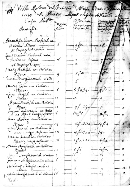 Cijela stranica Popisa obitelji iz 1734.